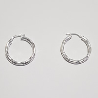 925 Sterling Silver Earings Twisted E08
